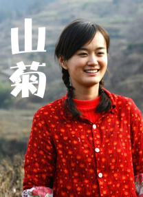 国产日韩精品一区在线不卡